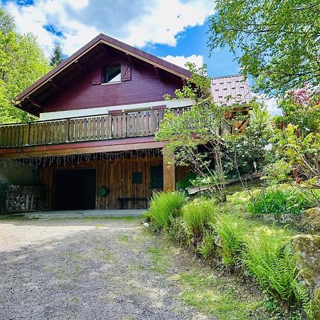 Les Cimes Blanches Cledicihome Chalet 10 Pers Spa & Grand Terrain 4 Minutes Des Pistes La Bresse Eksteriør bilde