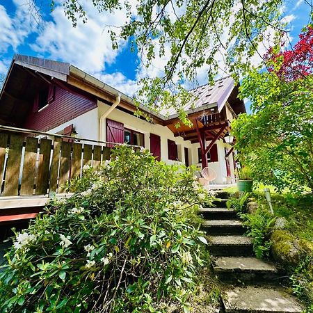 Les Cimes Blanches Cledicihome Chalet 10 Pers Spa & Grand Terrain 4 Minutes Des Pistes La Bresse Eksteriør bilde