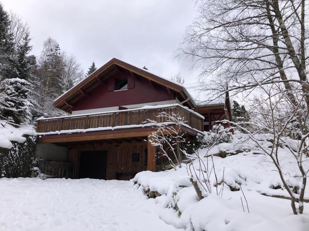 Les Cimes Blanches Cledicihome Chalet 10 Pers Spa & Grand Terrain 4 Minutes Des Pistes La Bresse Eksteriør bilde
